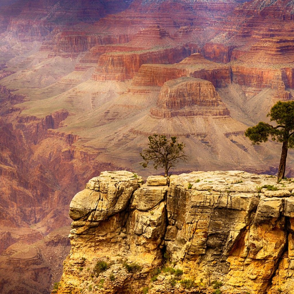 A scenic view of the Grand Canyon